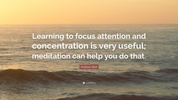 Meditation focus concentration