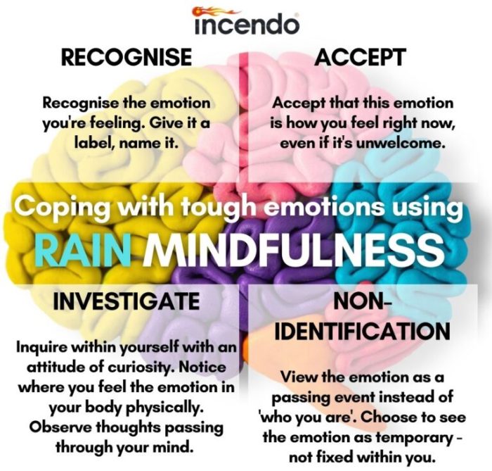 Mindfulness emotions manage