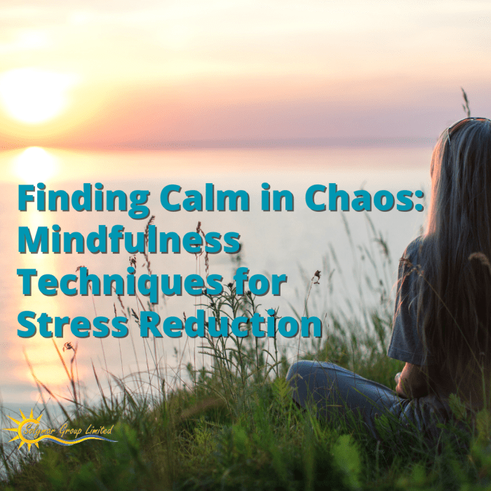 Chaos calm strategies these finding try simple today find use