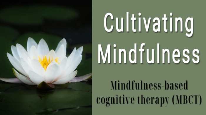 Meditation meditate feed