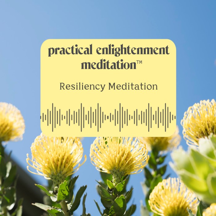 Mindfulness resilience