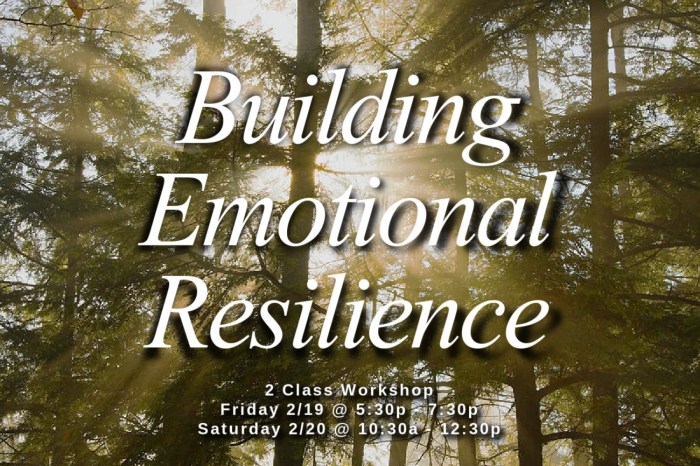 Challenging resilience
