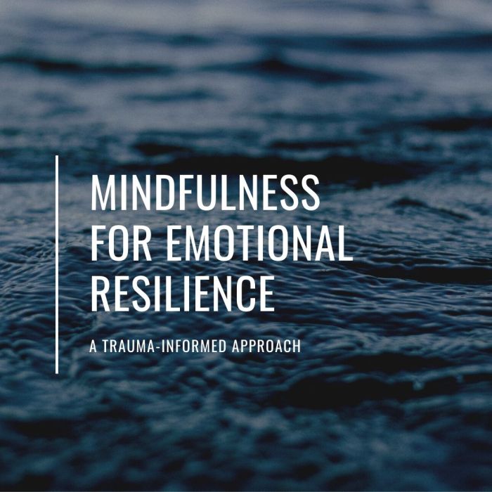 Resilience emotional build ways stronger adversity humans grow need