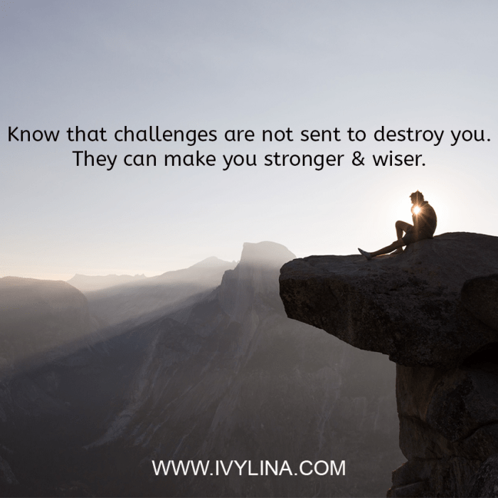 Challenges life erin brockovich full quotes quote handle builds these afraid never character who quotefancy